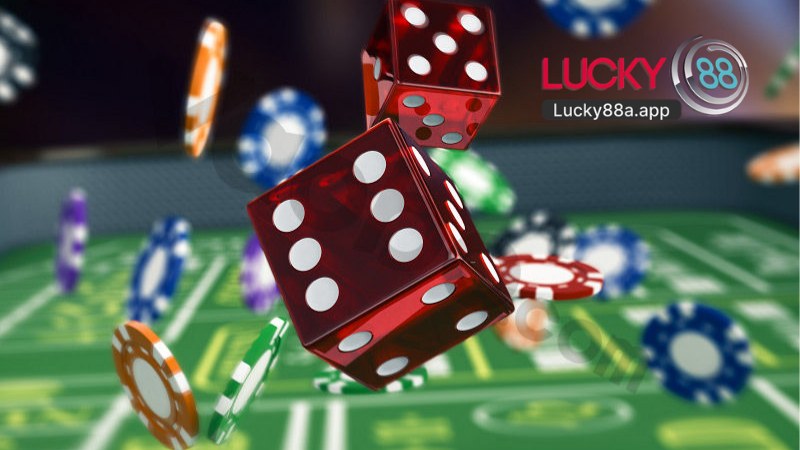 Sảnh Live DG Gaming Tại Lucky88